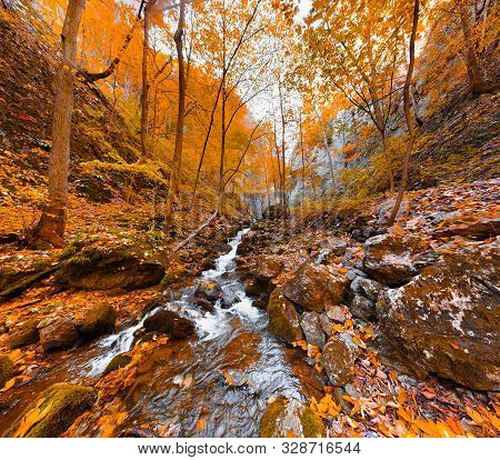 Panorama Of Flowing River Among Orange Autumn Tren. Autumn Landscape Of The Forest. Walkway In The A