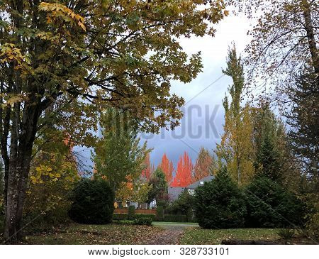 Fall Time In Pacific Nortwest During A Thunderstorm