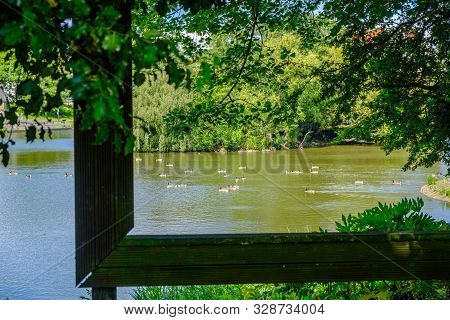 View Through Large Hollow Picture Frame Of Trees And Birds In Pond At Leases Park In Newcastle, Engl