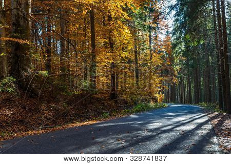 Asphalt Road Leading Trough Beautiful Forest In The Carpathian Mountains Where Deciduous Woods Meets