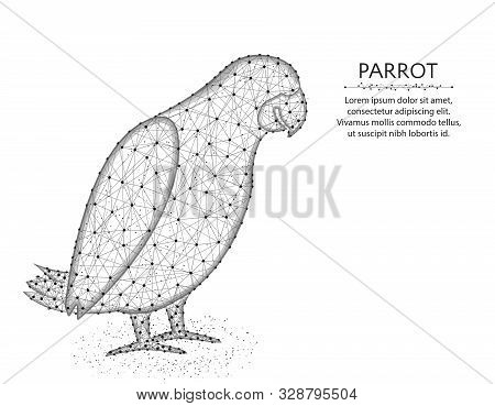 Jaco Parrot Low Poly Design, African Animal Abstract Graphics, Bird Polygonal Wireframe Vector Illus