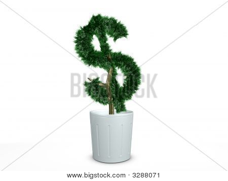 Bonsai Dollar