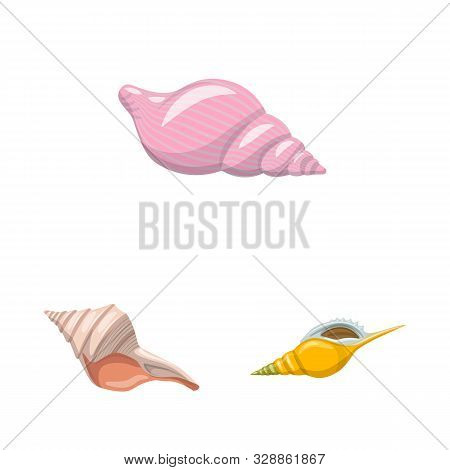 Vector Design Of Seashell And Mollusk Icon. Set Of Seashell And Seafood Vector Icon For Stock.
