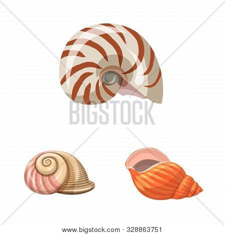 Vector Illustration Of Seashell And Mollusk Sign. Set Of Seashell And Seafood Stock Symbol For Web.
