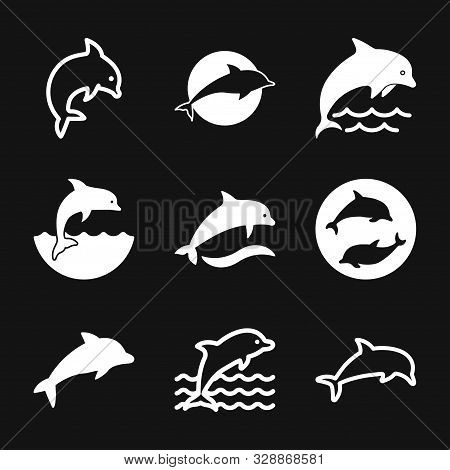 Dolphin Icon, Aquatic Mammal Vector Icon For Animal Apps And Websites