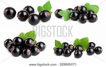 Set Or Collection Black Currant With Leaf Isolated On White Background