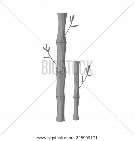 Vector Illustration Of Bamboo And Tree Sign. Collection Of Bamboo And Green Vector Icon For Stock.