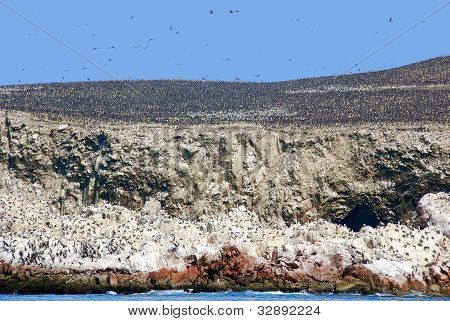 Le isole Ballestas