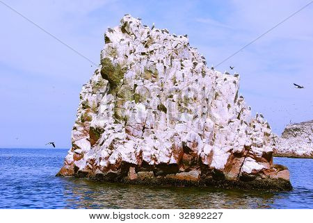 Le isole Ballestas