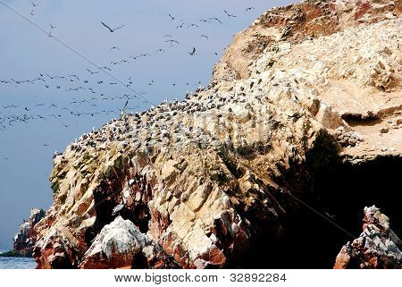 Le isole Ballestas