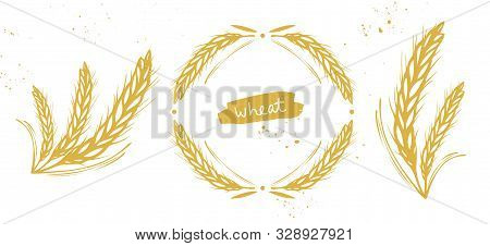 Barley, Wheat Round Wreath And Ears Set On White. Golden Colored Hand Drawn Vector Illustration For 