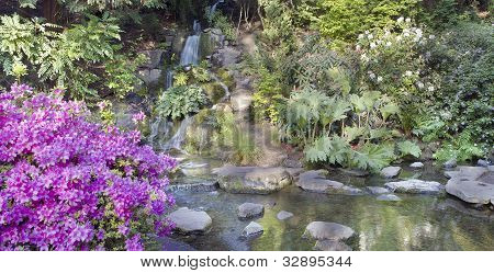 Crystal Springs Rhododendron bahçe şelale