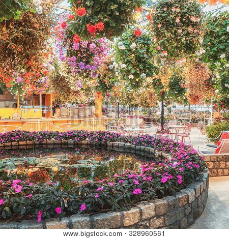 Luttelgeest, The Netherlands, November 14, 2018: Beautifully Decorated With Geranium, Impatiens And 