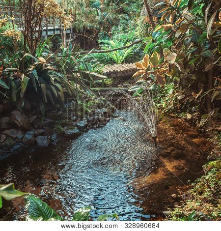 Flowing Brook  In The Rainforest In The Covered Park The Orchideeën Hoeve In The Netherlands
