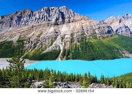 Peyto Lake de Canadá
