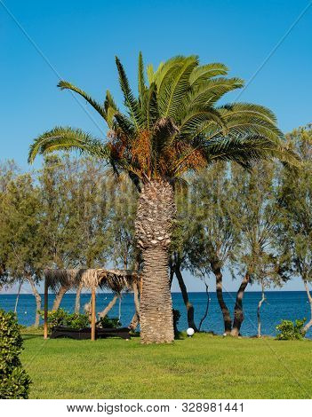Mediterranean Sea In Horizon In The South On The Island Of Kos Greece