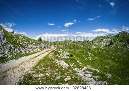 Hikers Walking On Trail. Group Of People Hiking In Mountains With Blooming Meadows And Mountain Peak