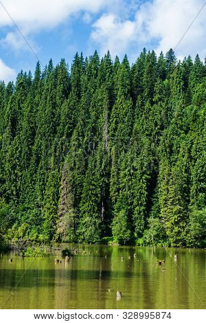 Red Lake (also Known As Lake Ghilcoş Or The Killer Lake) Is A Natural Dam Lake Formed Following The 