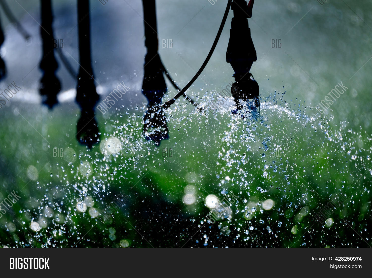 Farming Sprinkler Image & Photo (Free Trial) Bigstock