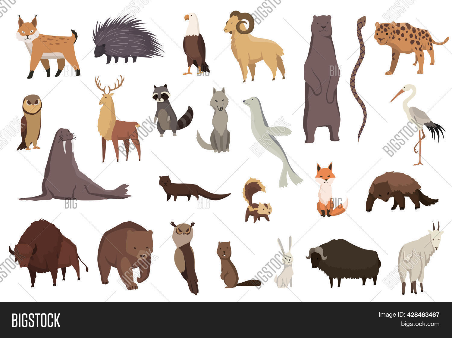 Animals North America Image & Photo (Free Trial) | Bigstock