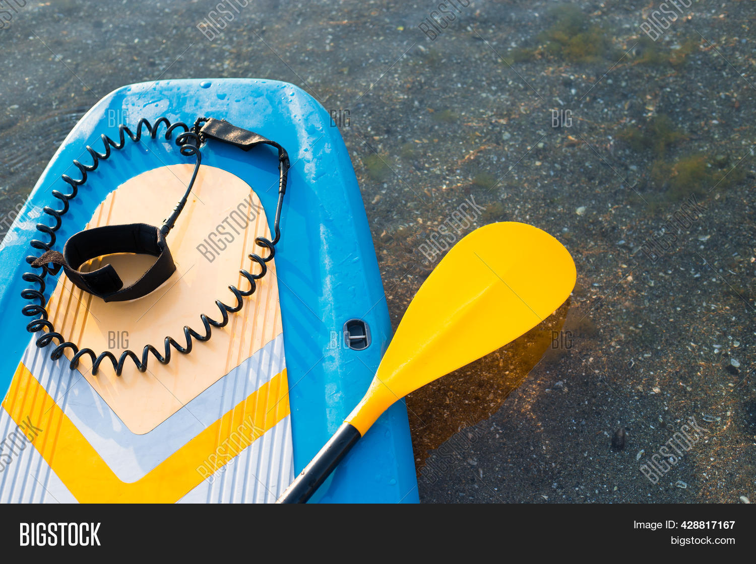 Yellow Paddle Board Image & Photo (Free Trial) Bigstock
