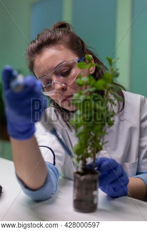 Close Up Of Biologist Researcher Using Micropipette Putting Genetic Solution In Test Tube Developing