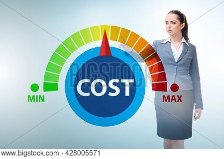 Businesswoman in cost management concept