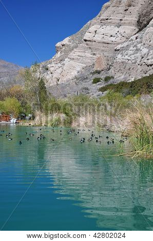 Whitewater duck pond