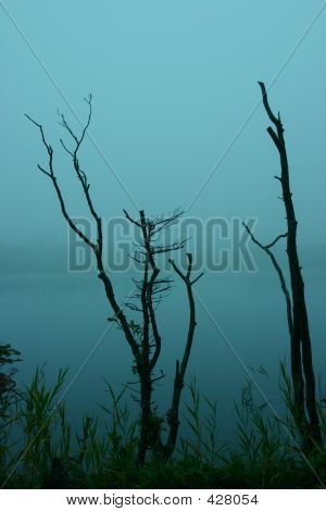 Eerie