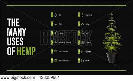 The Many Uses Of Hemp, Black Poster With Greenbush Of Cannabis Plant And Infographic Of Uses Of Cann