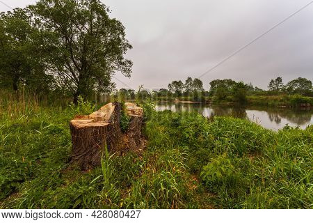 Sunset Over Warta River In Warta Landscape Park, Lad, Poland.