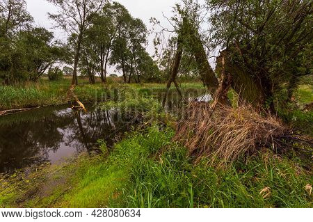 Sunset Over Warta River In Warta Landscape Park, Lad, Poland.