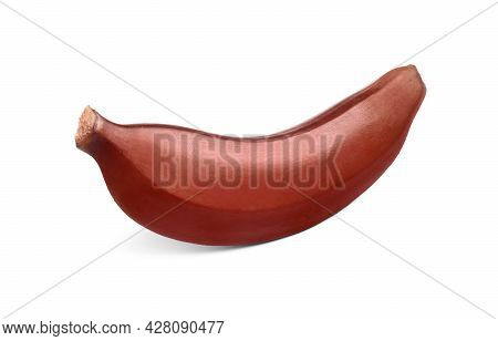 Tasty Red Baby Banana Isolated On White