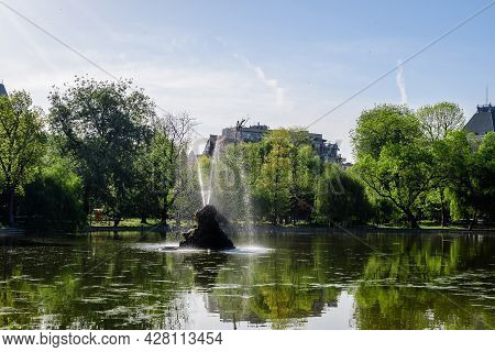 Vivid Green Landscape With Old Large Linden Trees And Green Leaves Near The Lake In Cismigiu Garden 