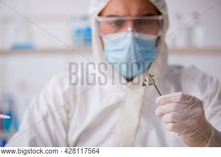 Young male chemist zoologist working at the lab during pandemic