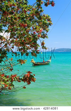 เรือหางยาวยาวหางเรือในจังหวัดภูเก็ต