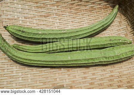 Ridge Gourd Vegetables Long And Thin On Yellow Background. Indian Or Southeastern Or Southasian Vege