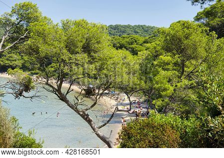 Tropical Sea Landscapes On The Island Of Porquerolles, In Southern France (french Riviera). Landscap