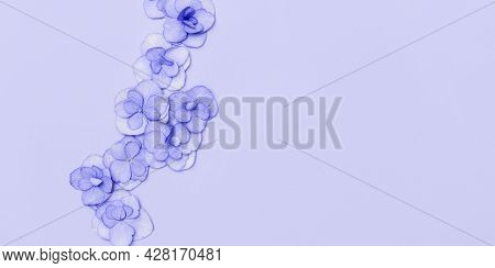 Floral Arrangement With Small Puple Hydrangea Flowers, Natural Floral Flat Lay In Summer Seasonal St