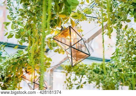 A Geometric Glass Lantern In The Greenery Under The Ceiling
