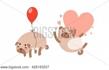 Funny Pug Dog With Curled Tail And Light Brown Coat With Heart And Balloon Vector Set