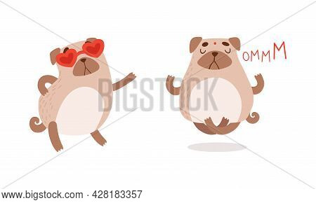 Funny Pug Dog With Curled Tail And Light Brown Coat Wearing Heart Shaped Sunglasses And Meditating I