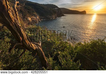 An Island In The Middle Of A Body Of Water