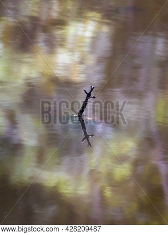 Stick Reflecting In A Colourful Pond At Rumbalara