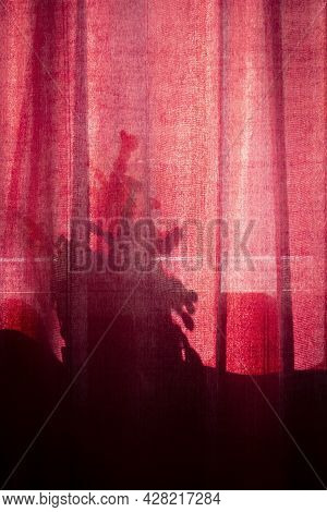 Light Through The Curtains