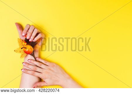 Female Hands With A Trendy Autumn French Manicure