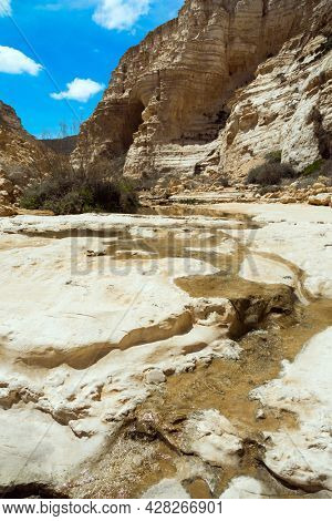 The magnificent gorge Ein Avdat is the most beautiful in the Negev desert. Start route. The concept of photo tourism. Within the walls there are many caves and rocks. Israel