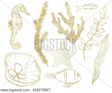 Watercolor Tropical Set Of Gold Seahorse, Shell, Fish, Coral And Laminaria. Underwater Linear Plants