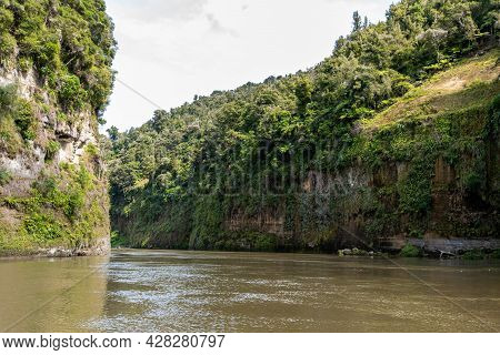 Tour On Untouched Whanganui River And Through Surrounding Jungle, North Island Of New Zealand