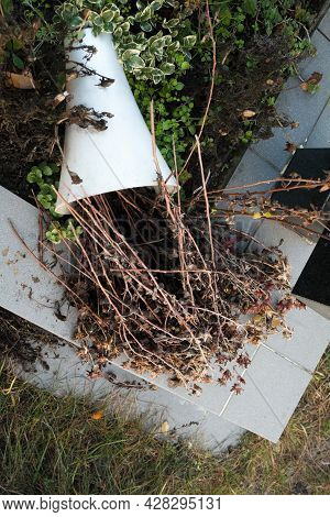 Overturned Vase With Dried Flowers On The Gravestone.